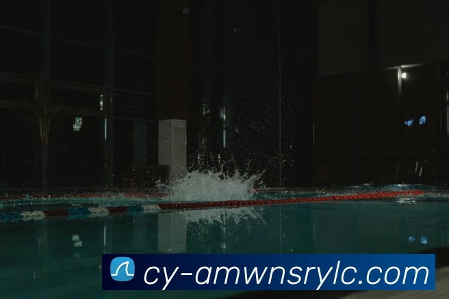 威尼斯人娱乐网站平台生态图